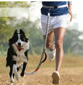 Hands Free Dog Leash for Medium and Large Dogs - Durable Dual Handle Waist Leash with Reflective Bungee for Running; Walking; Training; Hiking (Colour: Orange -4211, Specification (L * W): 2.5*160cm)